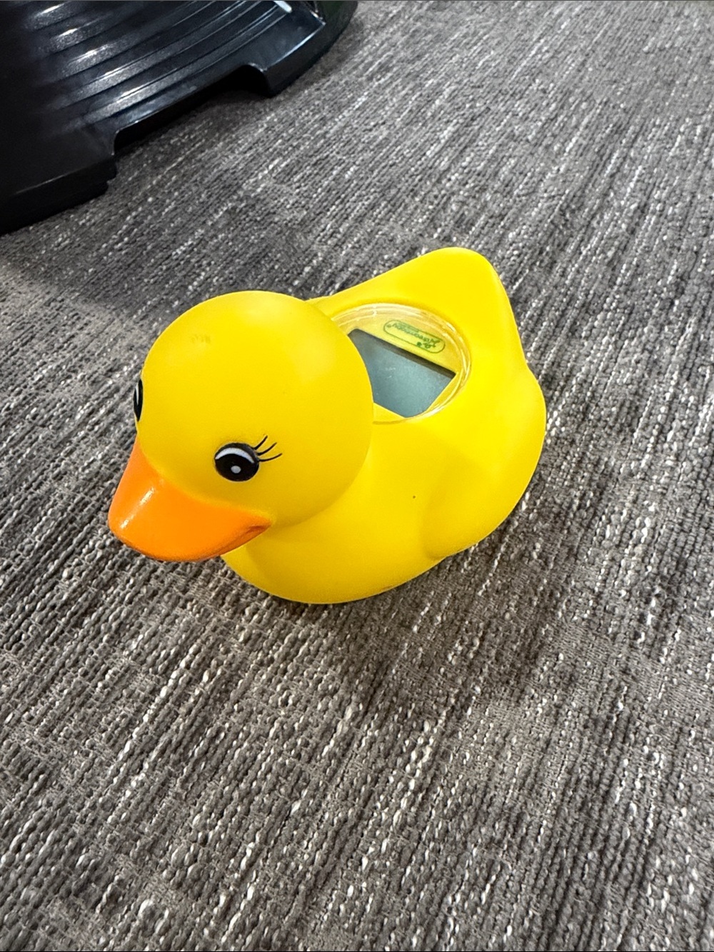 Yellow Rubber Duck Bath Thermometer for Birds and Pets